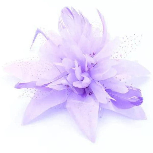 Fascinator Hair Fascinators Hair Fascinator Hair Clip Wedding Hats Royal Ascot Fascinator On Clear Comb Or Aliceband Suitable for Girls, Women, Ladies