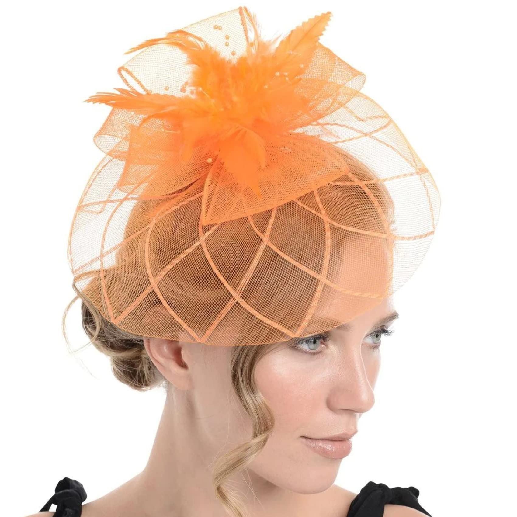 Fascinator on Concord Beak Clip or Aliceband Looped Net & Feather & Beads Fascinator Headband Hair Band Fascinators Hats Wedding Hats Royal Ascot Hats On Aliceband