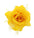 Yellow Rose Flower With Glitter Edge On Hair Clip And Brooch Pin