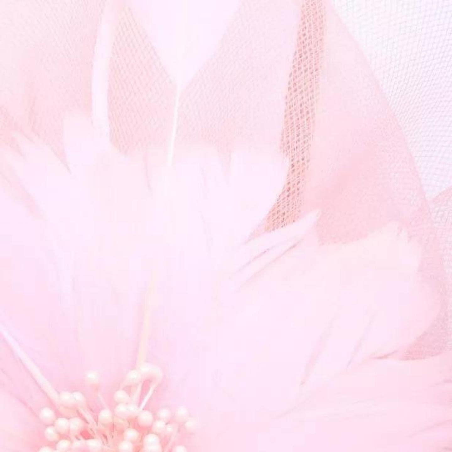 Fascinator Hair Clip Fascinator Headband Hairband Fascinators Flower Fascinator Flower Hair Clip Flower Feather Clip On Clip Or Aliceband For Girls, Women