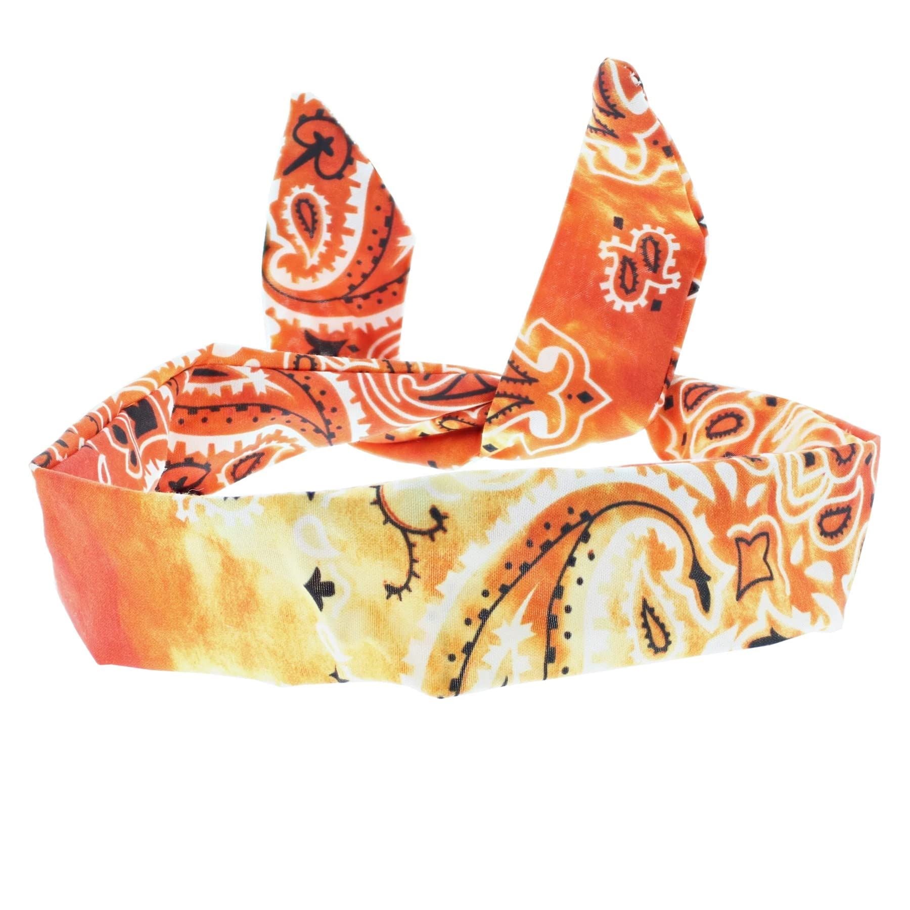 Paisley Wire Headbands for Women's Hair, Girls Headbands Hair Bands for Women Hair Accessories for Women Head Bands Adult Women Women's Fashion Headbands