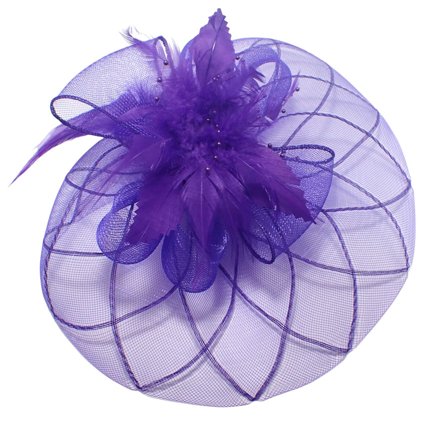 Fascinator on Concord Beak Clip or Aliceband Looped Net & Feather & Beads Fascinator Headband Hair Band Fascinators Hats Wedding Hats Royal Ascot Hats On Aliceband