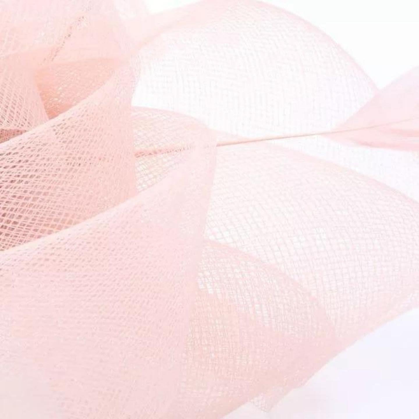 Looped Net & Feather Fascinator Headband Hair Band Fascinators Fascinator Hats