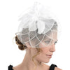 Fascinator on Concord Beak Clip or Aliceband Looped Net & Feather & Beads Fascinator Headband Hair Band Fascinators Hats Wedding Hats Royal Ascot Hats On Aliceband