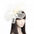 Fascinator Hair Clip Fascinator Headband Hairband Fascinators Flower Fascinator Flower Hair Clip Flower Feather Clip On Clip Or Aliceband For Girls, Women