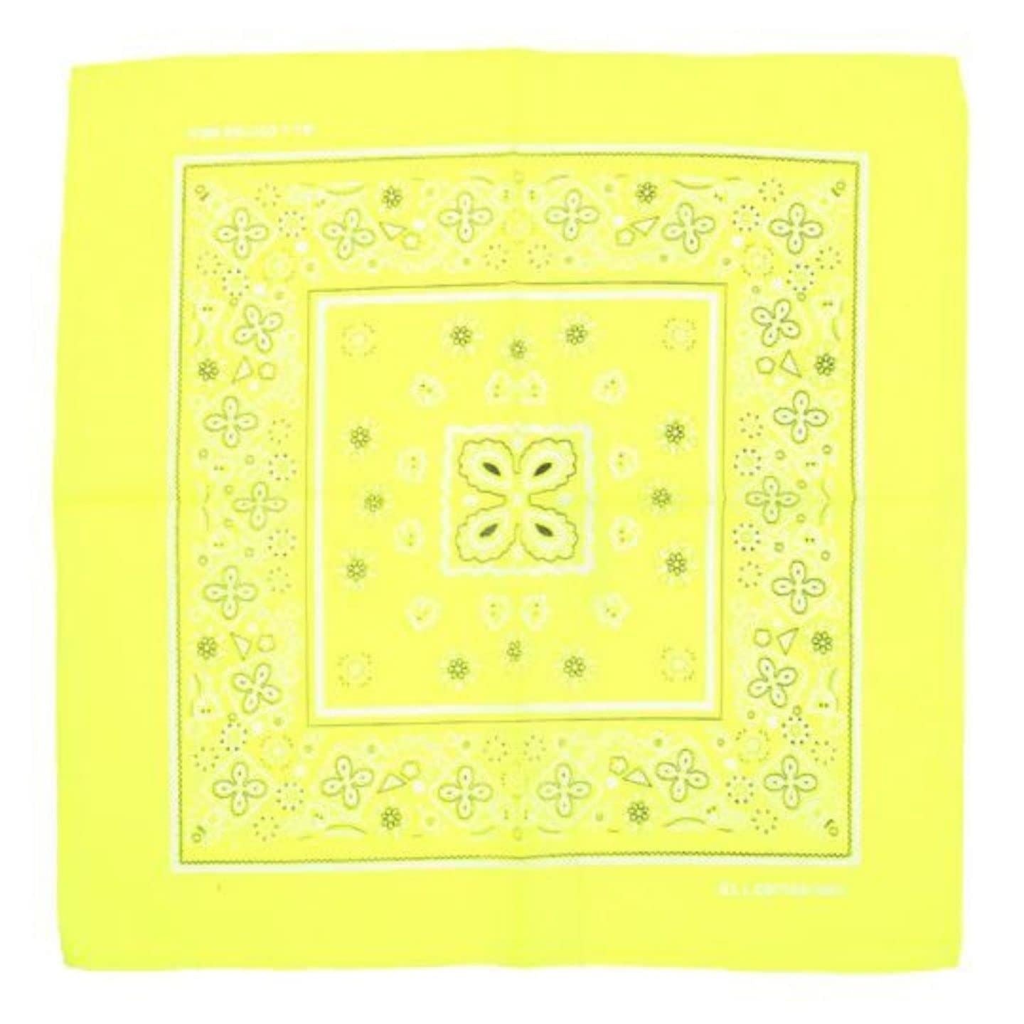 Paisley Bandanas Hair Bands Headbands Women Men Dogs Head Bands Festival Bike Accessories Face Masks Holiday Essentials Head Scarf